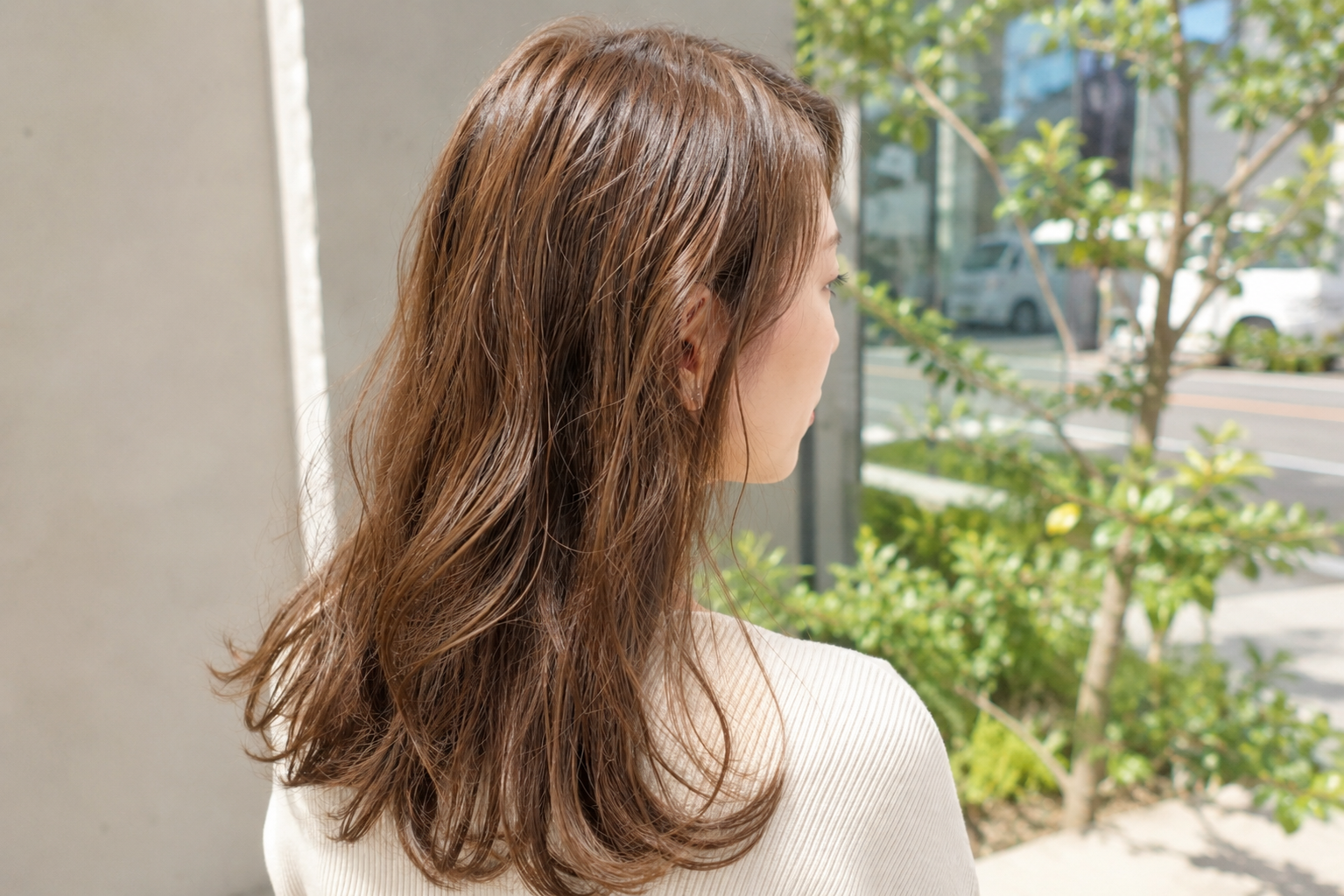 紅葉の道